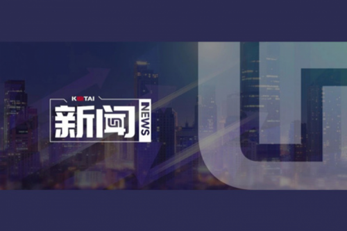 AI革新加速，神州数码2024全年毛利额营收逆势双升