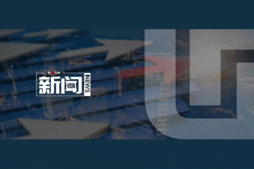 神州数码2024年度业绩说明会亮点一览：营收创5年新高，AI谋篇布局开新章